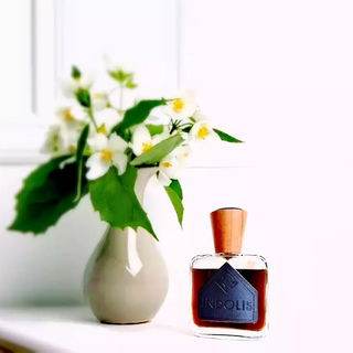 Indolis - Areej Le Doré