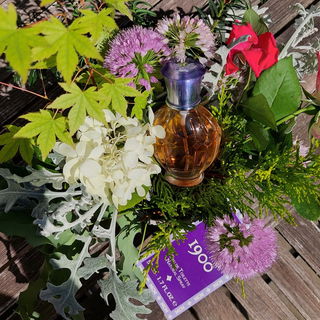 1900 (Eau de Toilette) - MCM