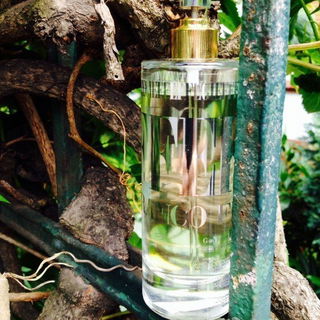 Gieffeffe - Gianfranco Ferré