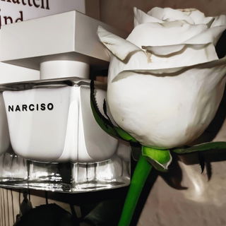 Narciso (Eau de Parfum) von Narciso Rodriguez
