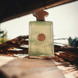 Meander von Amouage