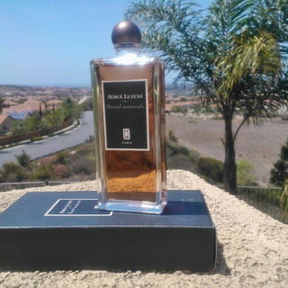 Santal majuscule by Serge Lutens