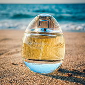 Am Strand der Bretagne :) (by 44muc)