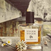 Tyger Tyger, burning bright, In the forests of the night; What immortal hand or eye, Could frame thy fearful symmetry? # William Blake. (by Seejungfrau)