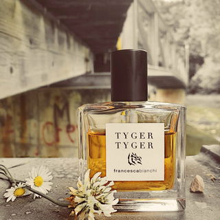 Tyger Tyger, burning bright, In the forests of the night; What immortal hand or eye, Could frame thy fearful symmetry? # William Blake.