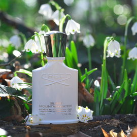 Schnappschuss :) wenn ihr unsere Bild mögt folgt uns gerne auf Instagram: woodpeckerperfumes 🫶🏻
