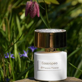 Cassiopea (Extrait de Parfum) - Tiziana Terenzi