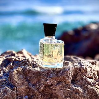 Capucci pour Homme (Eau de Toilette)