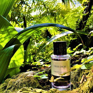 Herbstsonne im Palmenhaus - aus Grau wird Grün...       Danke schön für euren Besuch ! Ich wünsche allen einen schönen 1. Adventssonntag