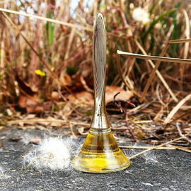 Umgeben von der Frische des Wassers, im warmen Schilf mit Gräsern und Blumen fand ich eine goldene Feder. ein lieblicher und anmutiger Vogel hat sie für mich dagelassen. Ich schnuppere noch die Wärme seines Körpers. Lieben Dank für Euren Besuch und die schönen Worte dazu.