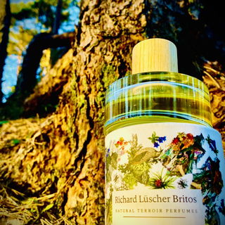 46°N 08°E by Richard Lüscher Britos