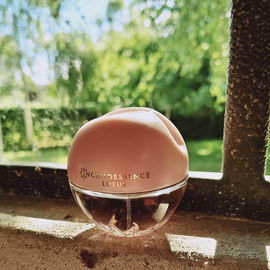 Incandessence Lotus - Avon