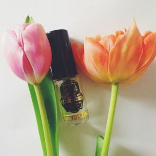 Tulpe von Harry Lehmann