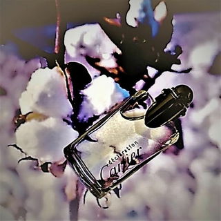 Déclaration (Eau de Toilette) - Cartier
