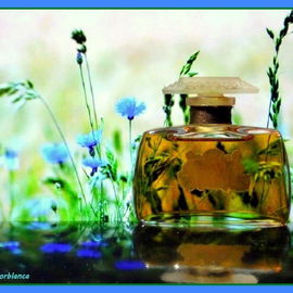 Flores del Campo - Floralia