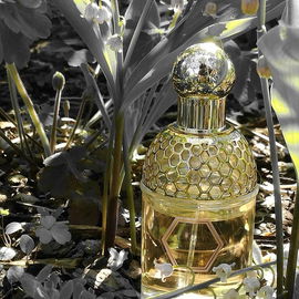 Onde Mystère - Giorgio Armani