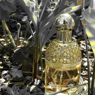 MyQueen - Alexander McQueen