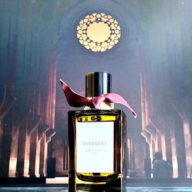 Amber Heath - Burberry