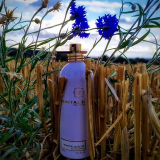 White Aoud - Montale