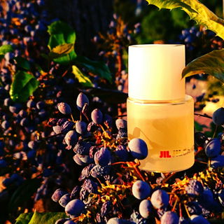 Jil (1997) (Eau de Toilette) - Jil Sander