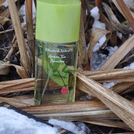Green Tea Bamboo - Elizabeth Arden