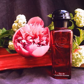 von Rhubarbara