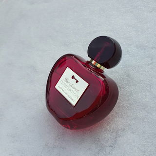 Her Secret Temptation von Banderas