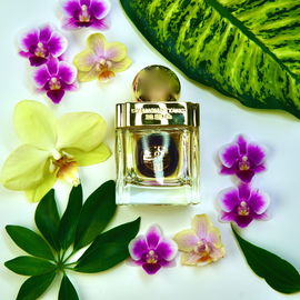 Orchid Bloom - Shanghai Tang