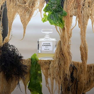 Sycomore (Parfum) von Chanel