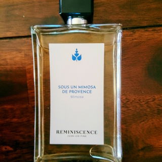 Sous un Mimosa de Provence (Eau de Toilette Intense) by Réminiscence