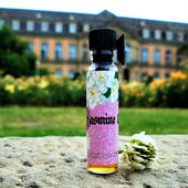 Die alte Dame am Schloss (von Floyd)