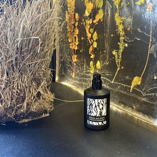 Jöklalykt - Fischersund