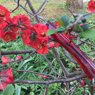 Flower Tag (Eau de Parfum) - Kenzo