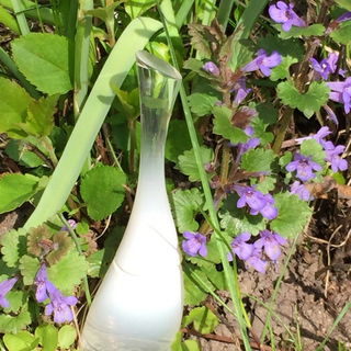 Kenzo Amour Florale - Kenzo