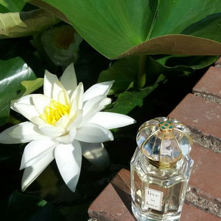 Live in Love - Oscar de la Renta