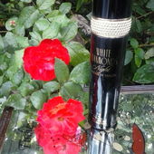 Rose Rebell (von pudelbonzo)