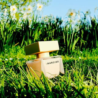 Narciso (Eau de Parfum Poudrée) von Narciso Rodriguez