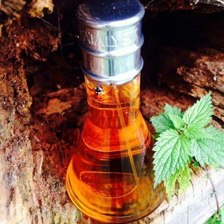 Catalyst for Men (Eau de Toilette) - Halston