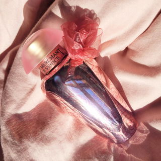 Rosa Moceniga Elixir by The Merchant Of Venice