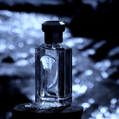 I'm just a dreamer ...... (von Zora)