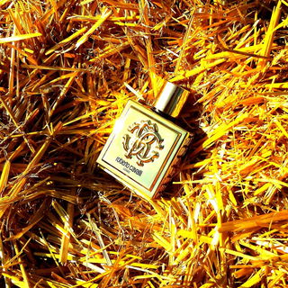 Roberto Cavalli Uomo Golden Anniversary - Roberto Cavalli