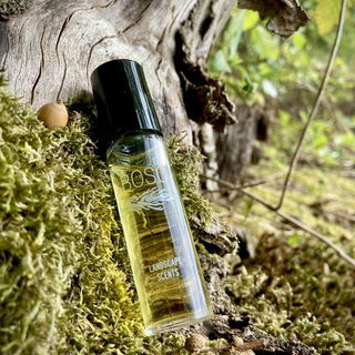Landscape Scents - Bosc von Bravanariz