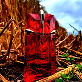 👽Alien im Kornfeld....zieht mal wieder Kreise🫣😅 (von LouisBaldini)