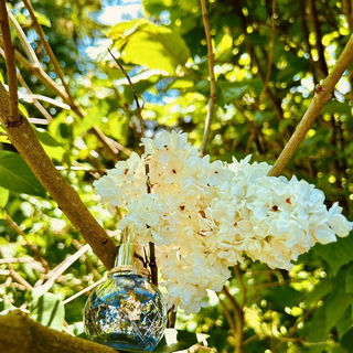 Éclat d'Arpège (Eau de Parfum) von Lanvin