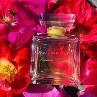 Ta'if (Parfum) by Ormonde Jayne