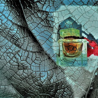 Ganz lieben Dank an euch alle :-) Ich hab mich wirklich sehr über eure Besuche und Auszeichnungen gefreut !