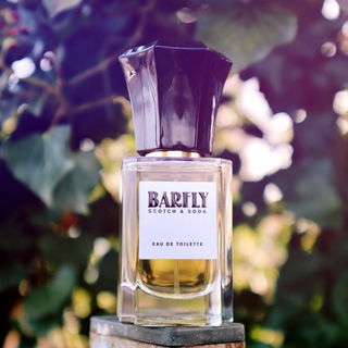 Barfly - Scotch & Soda