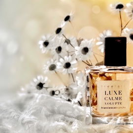 Freefall - Luxe Calme Volupté - Francesca Bianchi