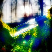 Pfauenwald (by CharlAmbre)