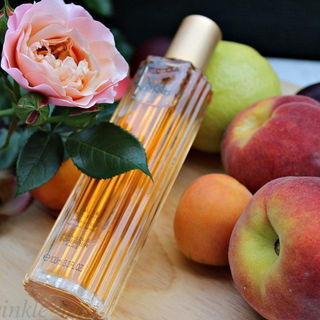 Nuits Indiennes (2013) von Jean-Louis Scherrer